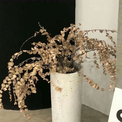 兽设火山场景设计兽圈社群